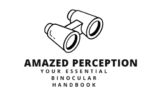 amazedperception.com